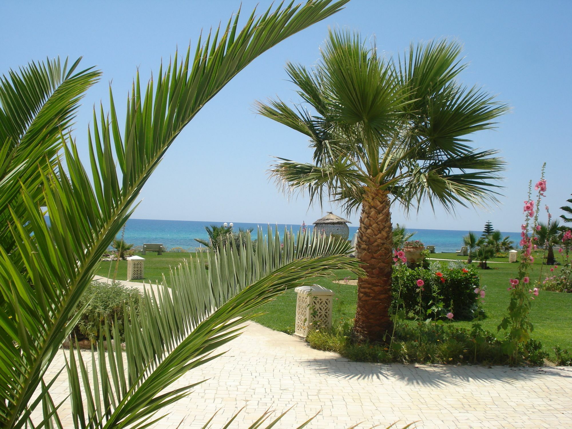 B&B Cote D'Azur Hammamet Exterior photo